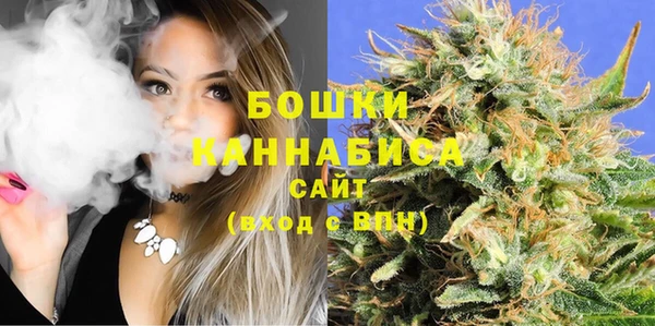 стаф Корсаков