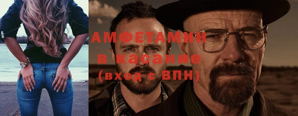 стаф Корсаков