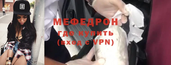 стаф Корсаков