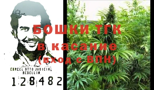 стаф Корсаков