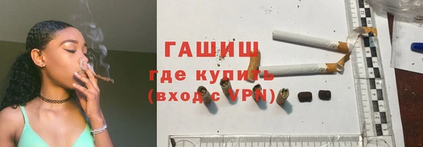 стаф Корсаков