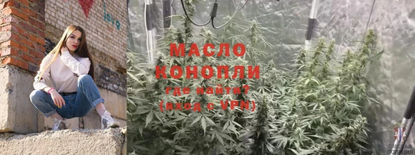 стаф Корсаков