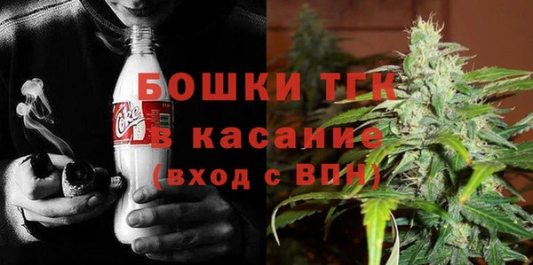 стаф Корсаков