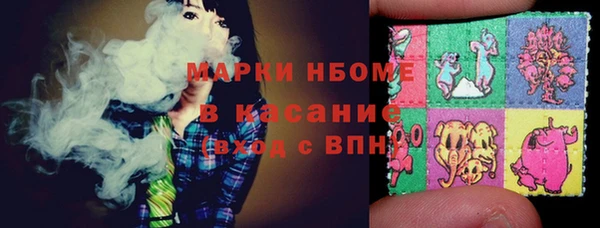 стаф Корсаков