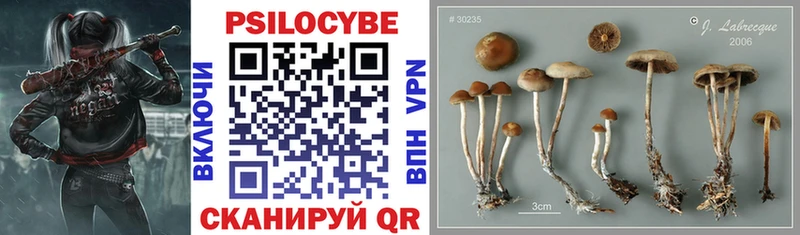 Псилоцибиновые грибы мухоморы  blacksprut   Трёхгорный 