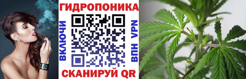 Бошки марихуана MAZAR  закладка  Трёхгорный 